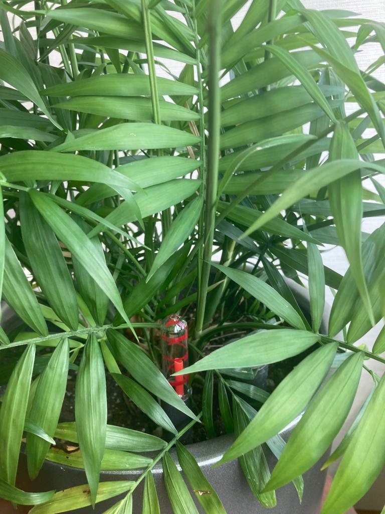 Jardinera con sistema de autorriego