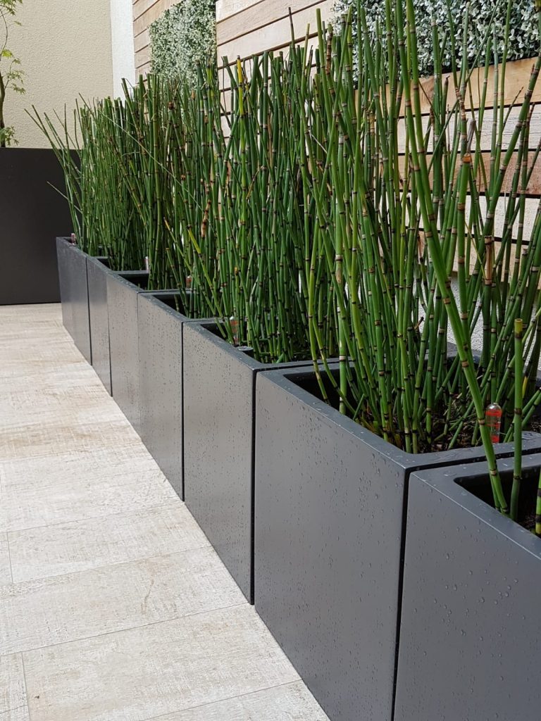 Macetas autorregantes